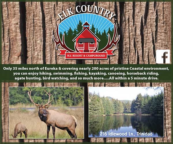 Elk Country