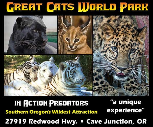 Great Cats World Park