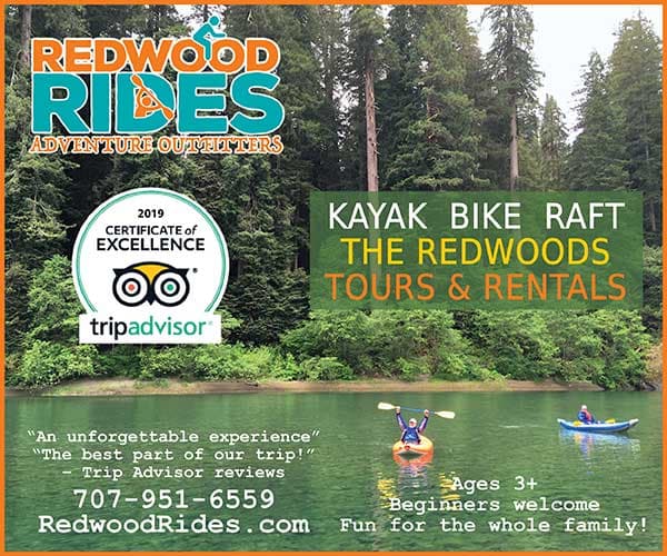 Redwood Rides