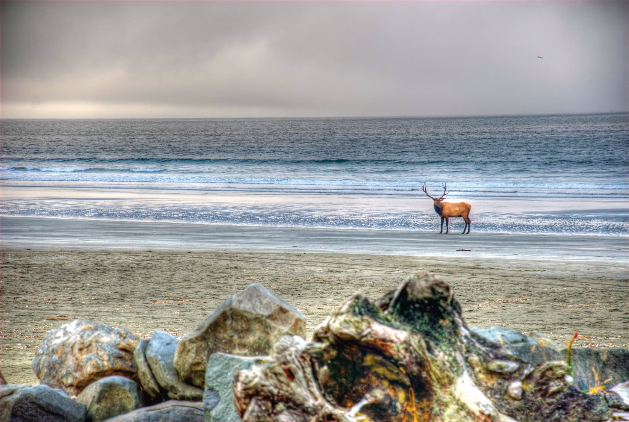 Crescent City