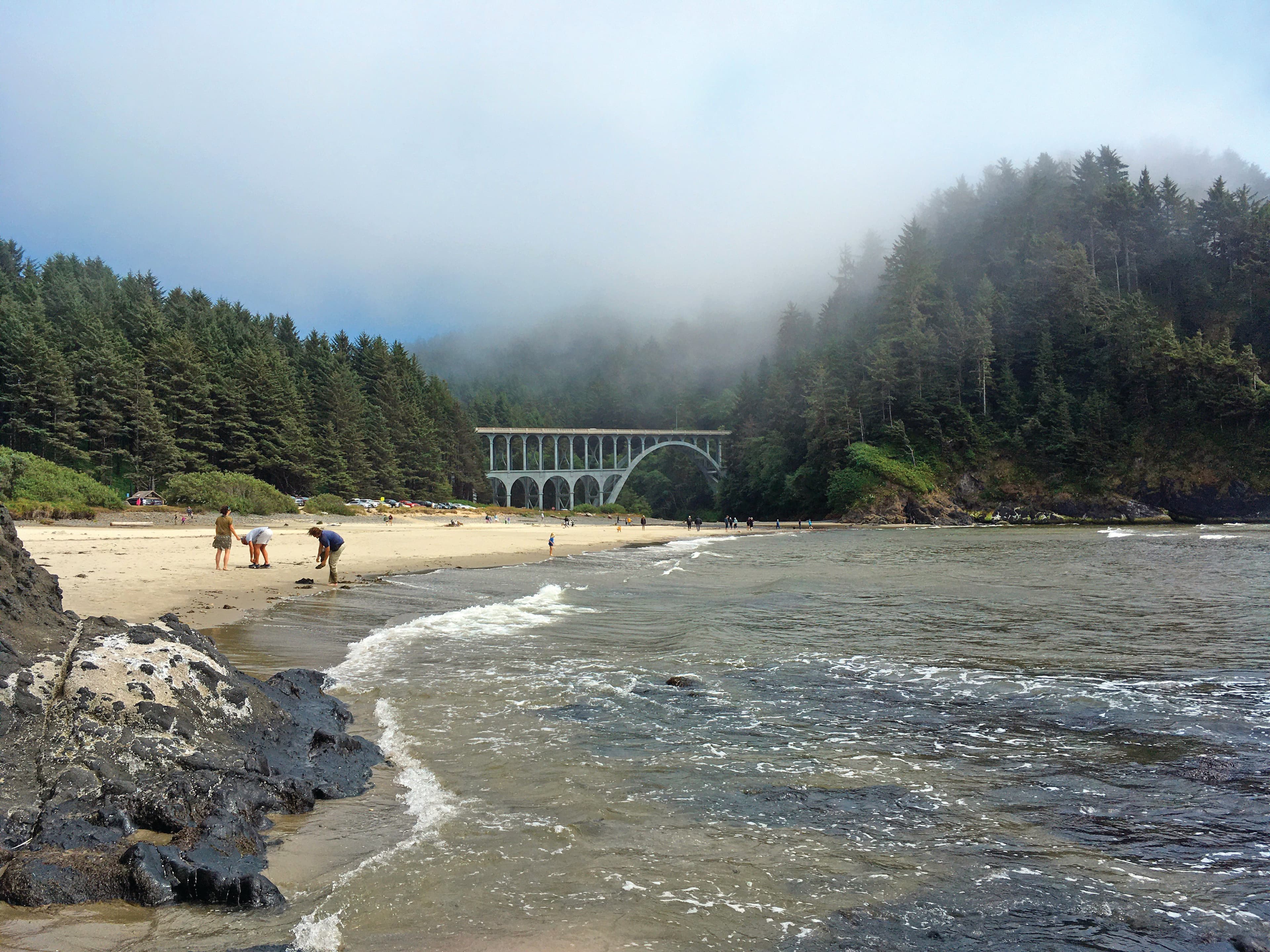 Western & Coastal Southern Oregon
