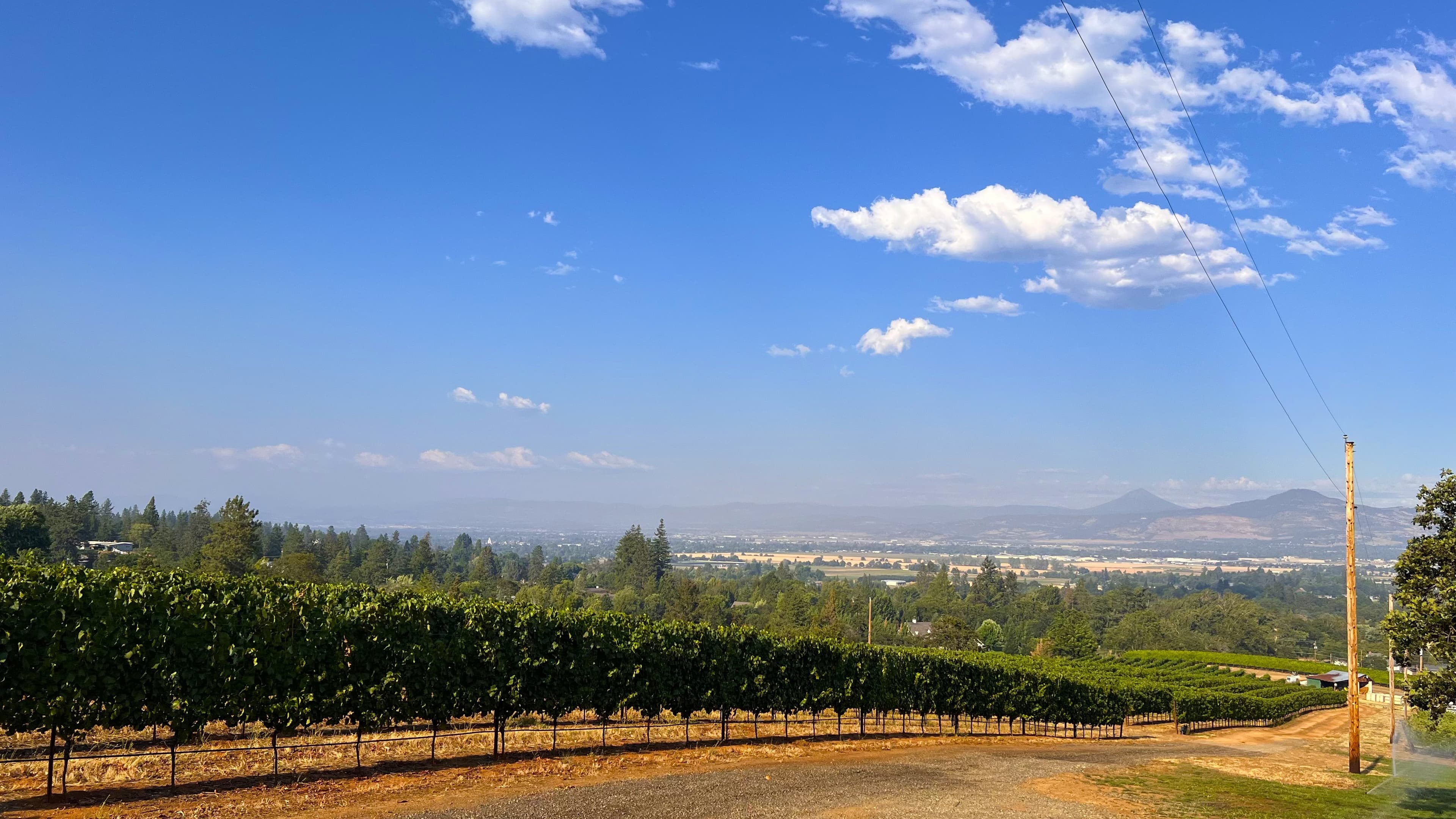 Southern Oregon Wineries