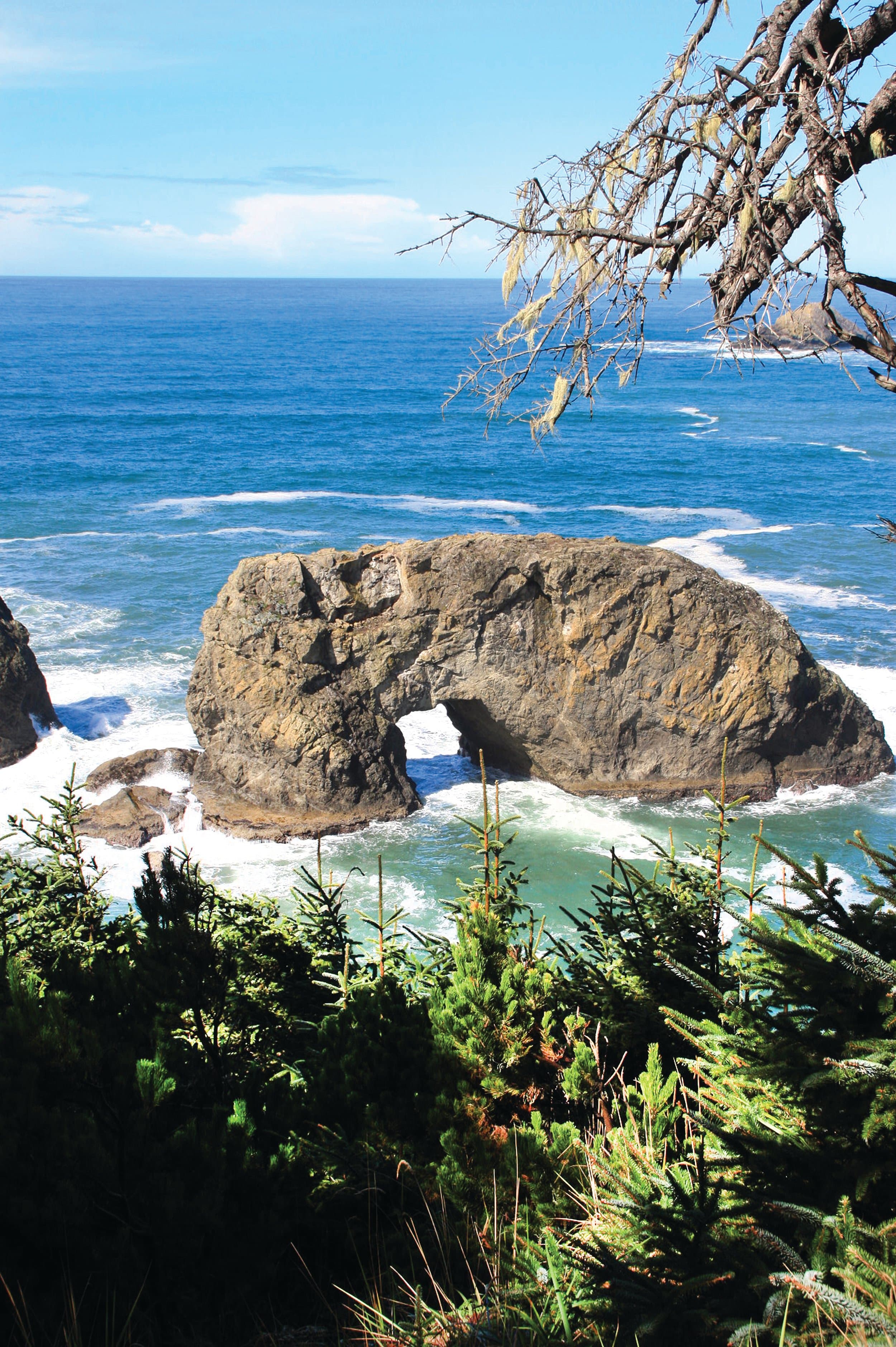 Arch Rock