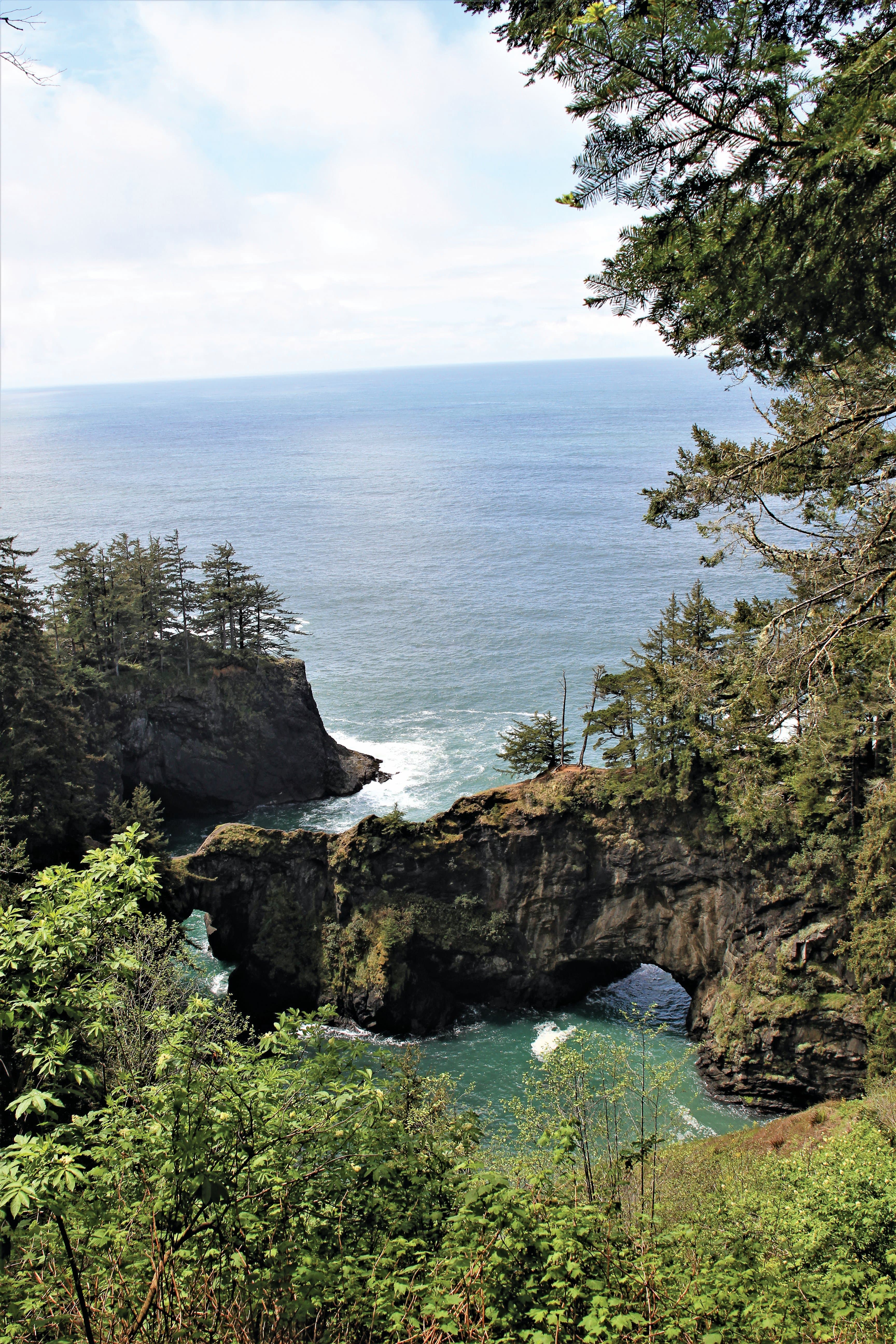 Natural Bridges & Thunder Rock Cove