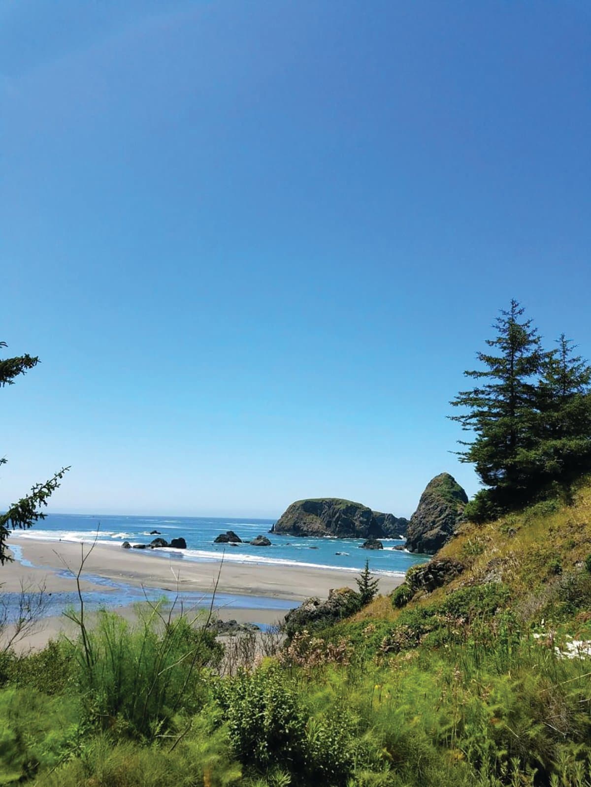 Whaleshead Beach