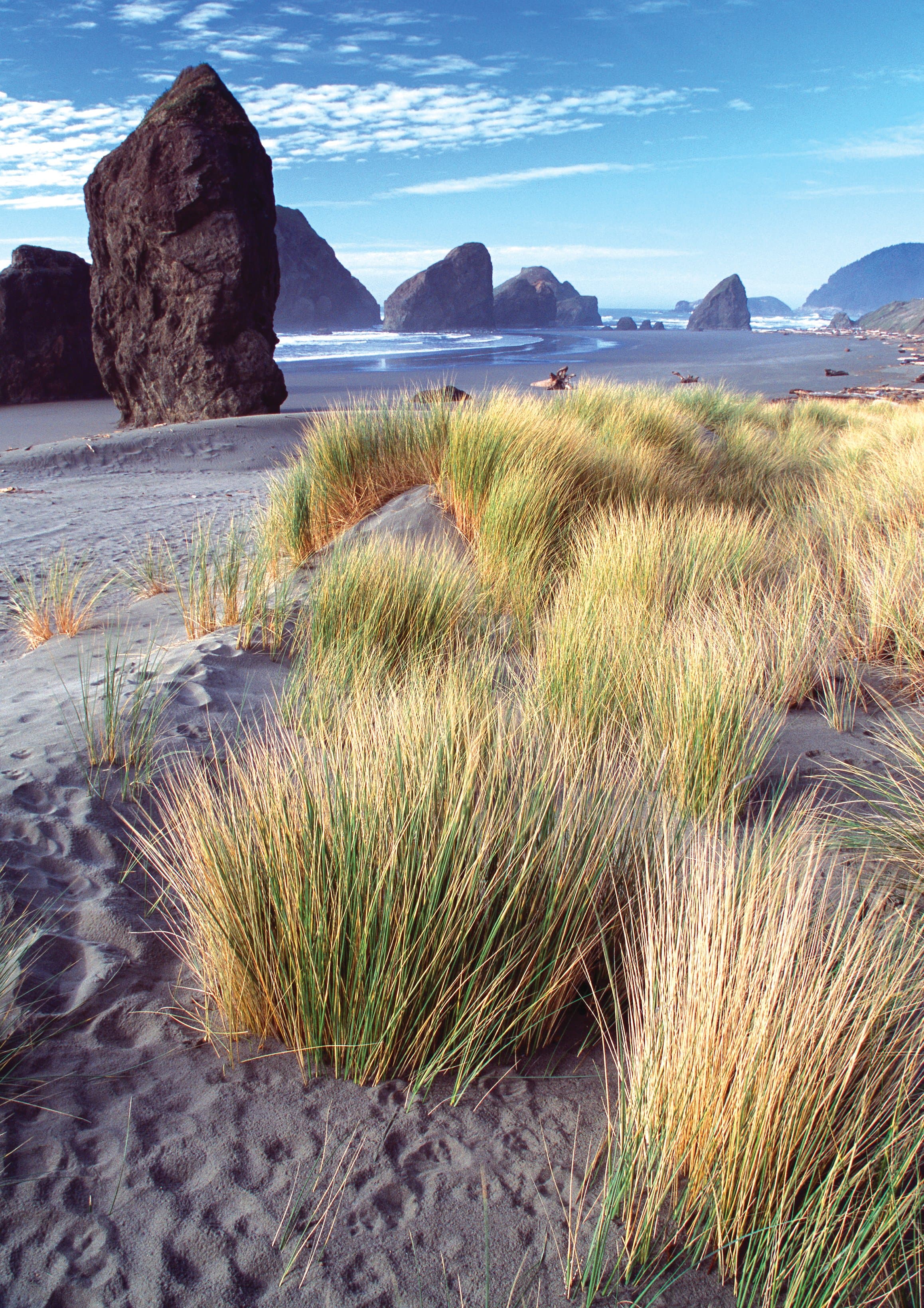 Pistol River State Beach