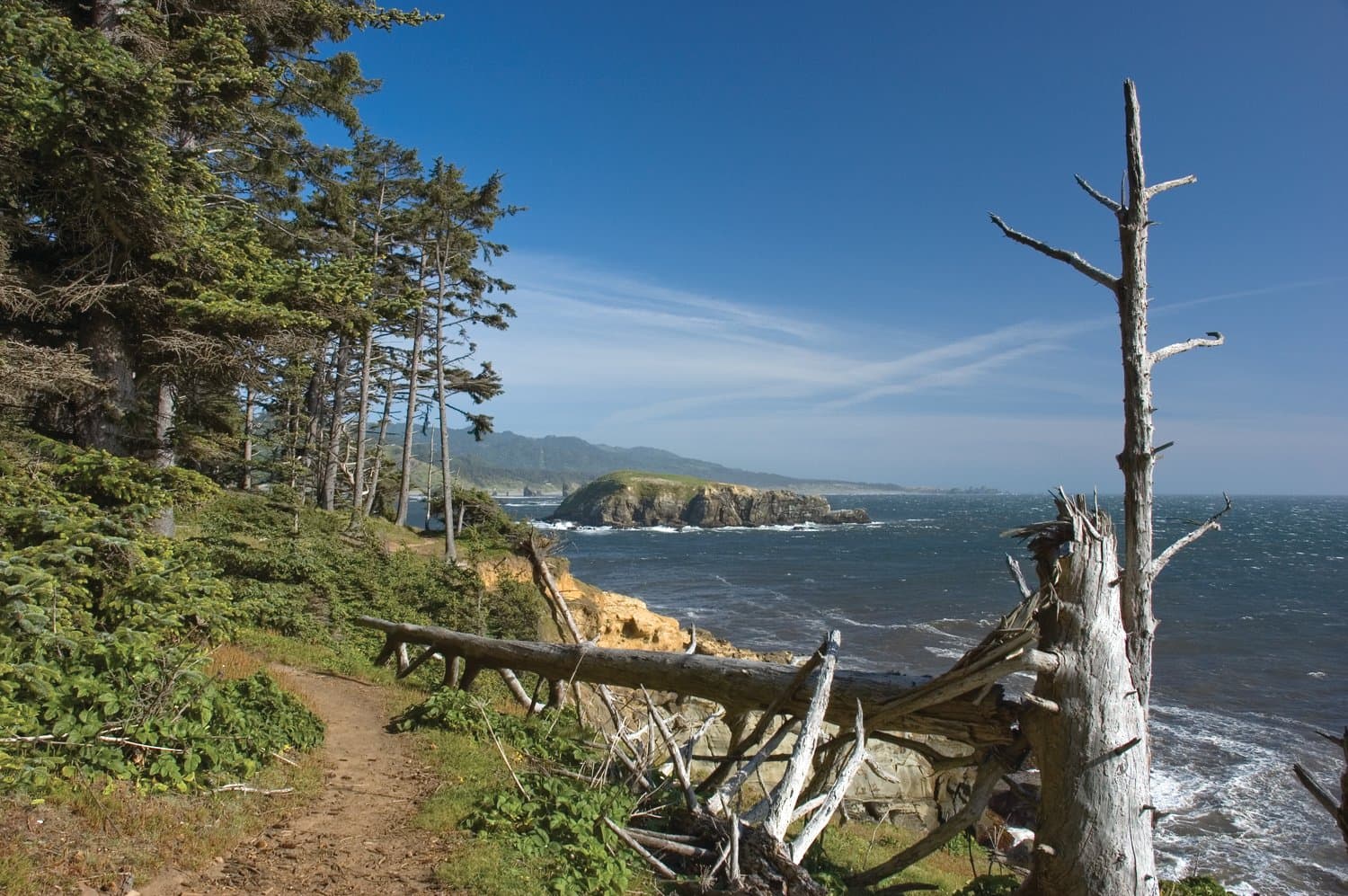 Cape Sebastian State Scenic Corridor