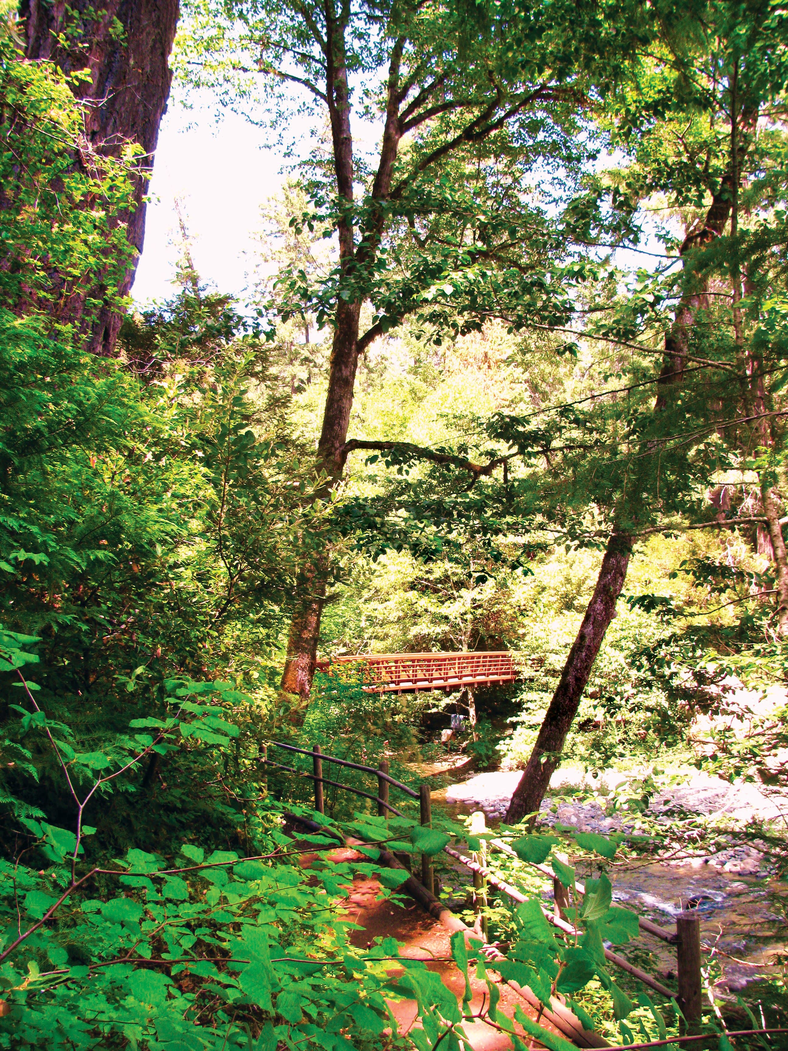 Illinois River Forks State Park