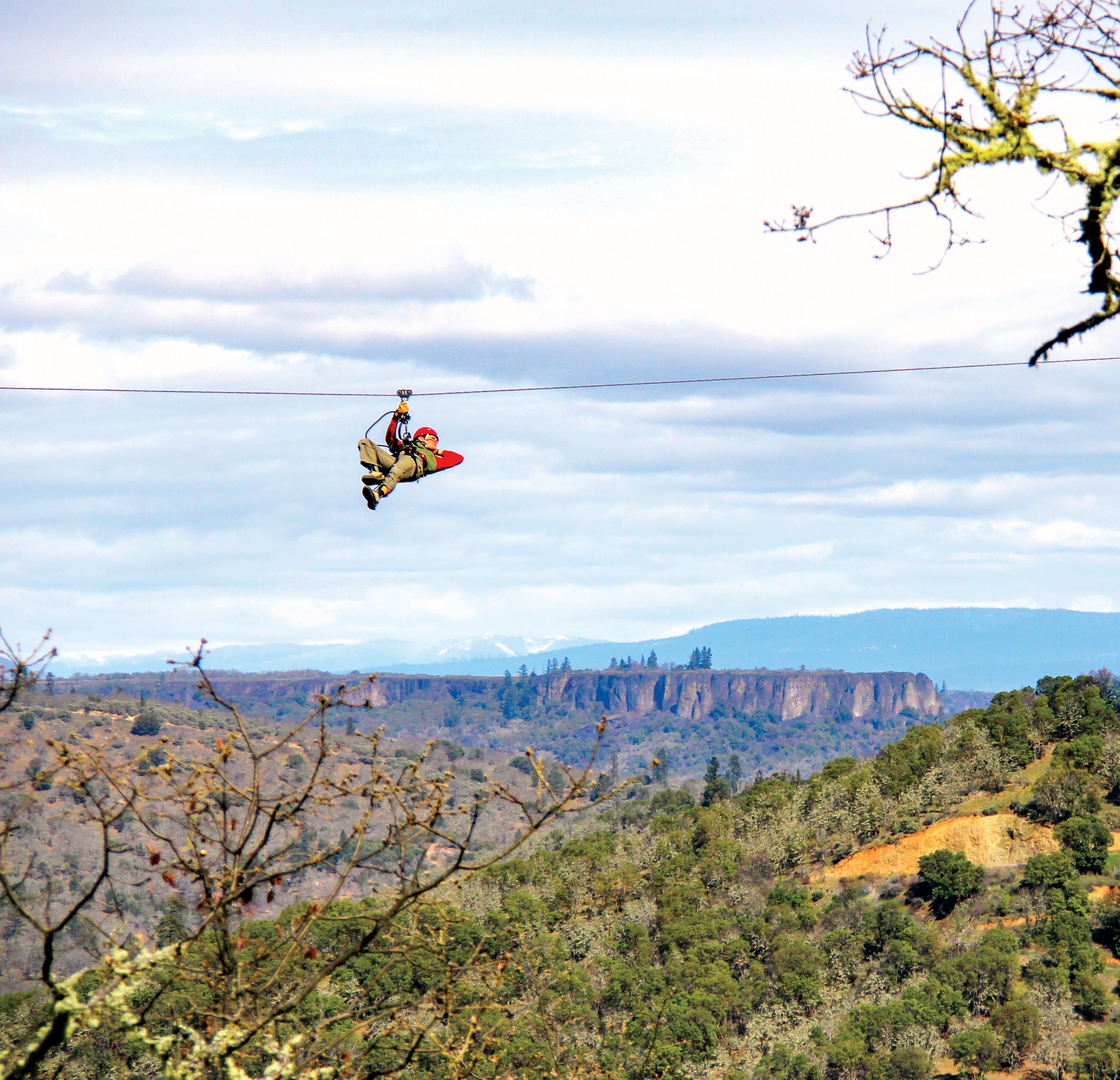 Rogue Zipline Adventure