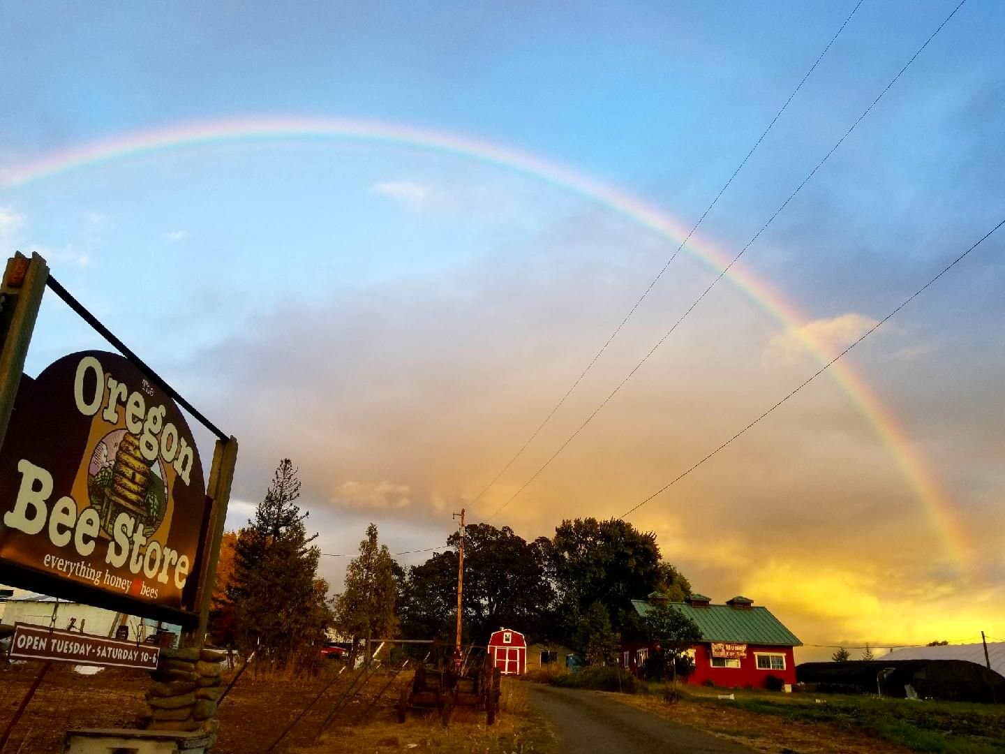 Oregon Bee Store