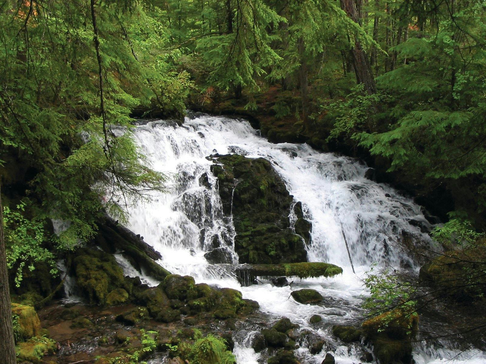 Mill Creek Drive Scenic Waterfalls