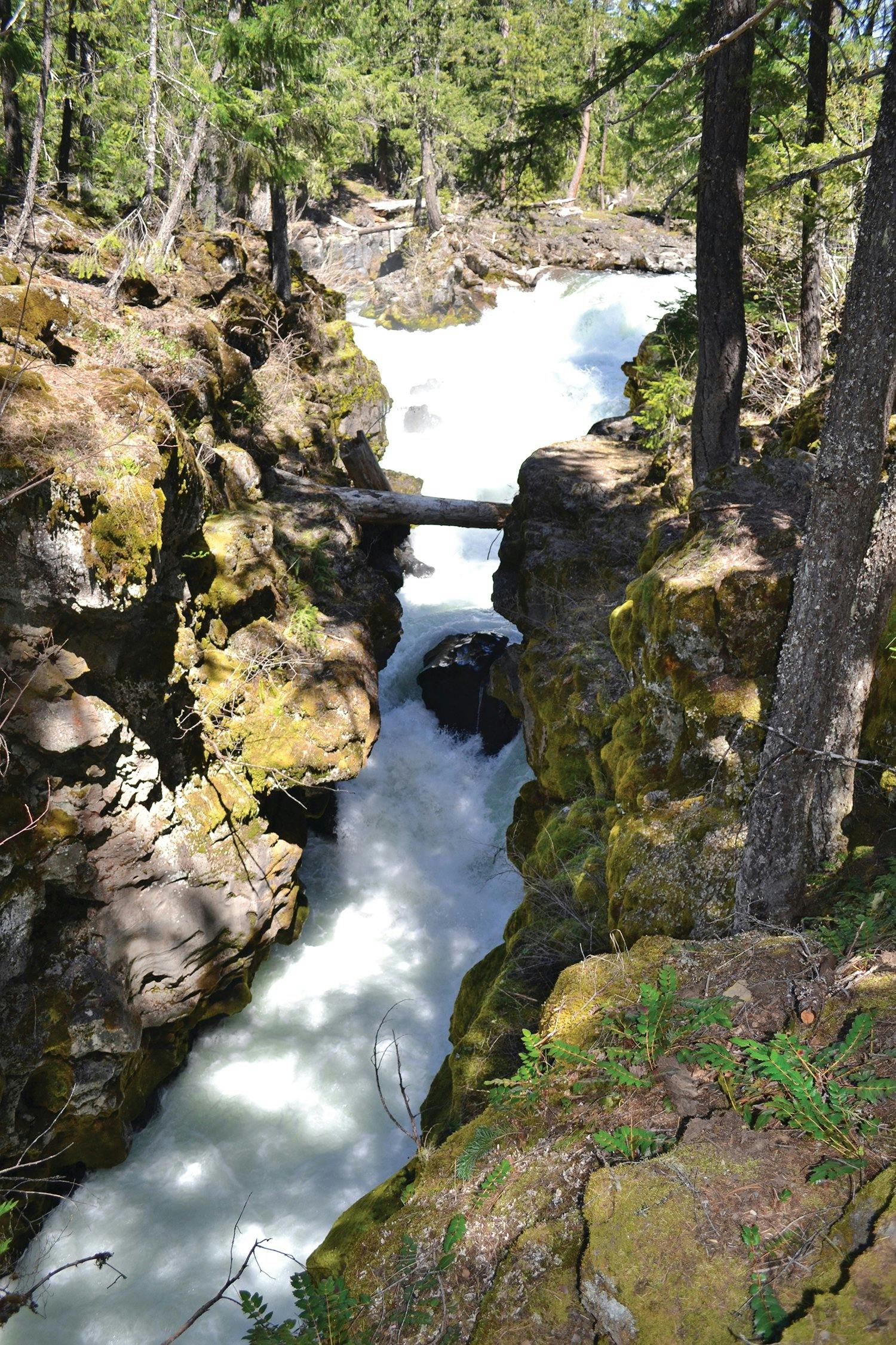 Rogue River Gorge Trail