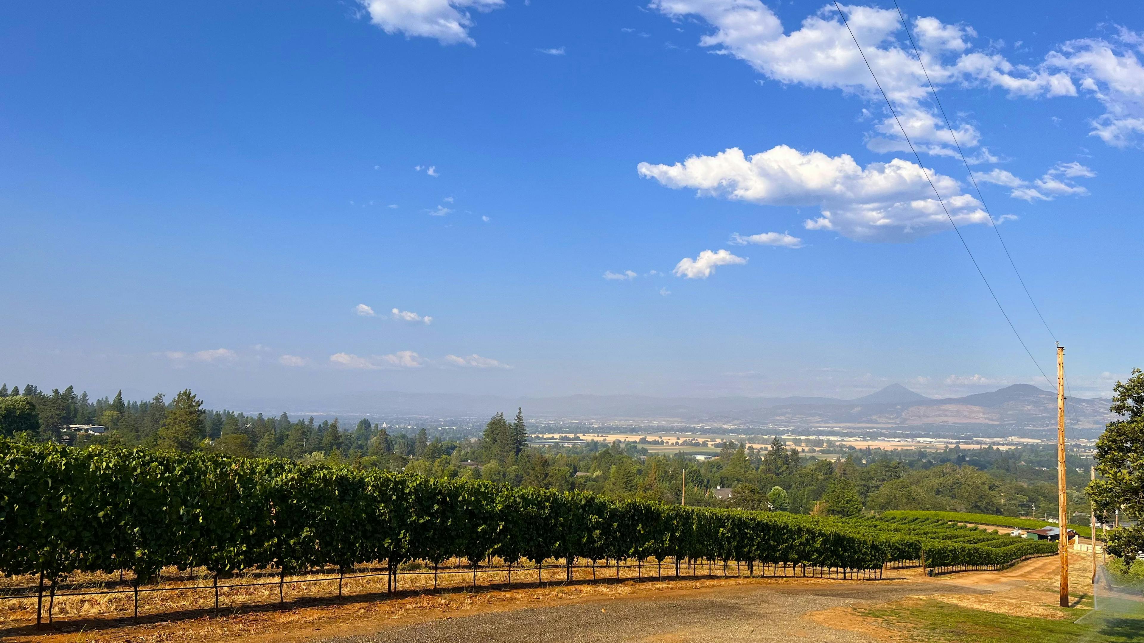 Wine Tasting in the Heart of Southern Oregon Wine Region